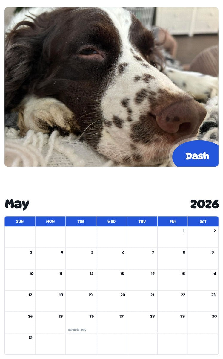 2026 - 2027 Dash - Pawidols Pet Calendar