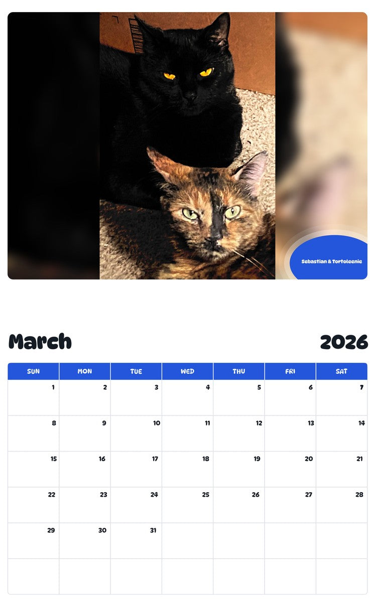 November 2025 - October 2026 Sebastian & Tortoleenie - Pawidols Pet Calendar