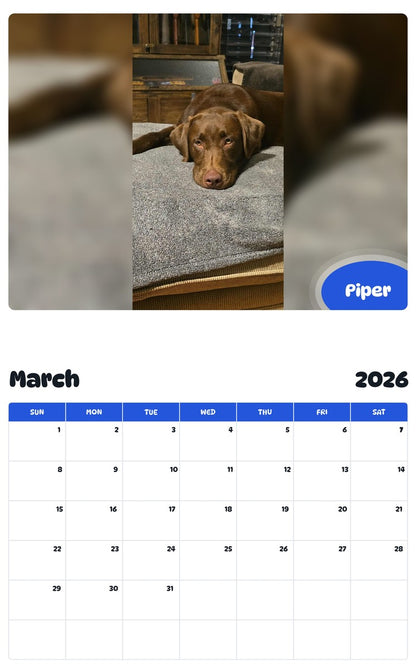November 2025 - October 2026 Piper - Pawidols Pet Calendar