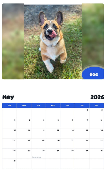 2026 - 2027 Boe - Pawidols Pet Calendar