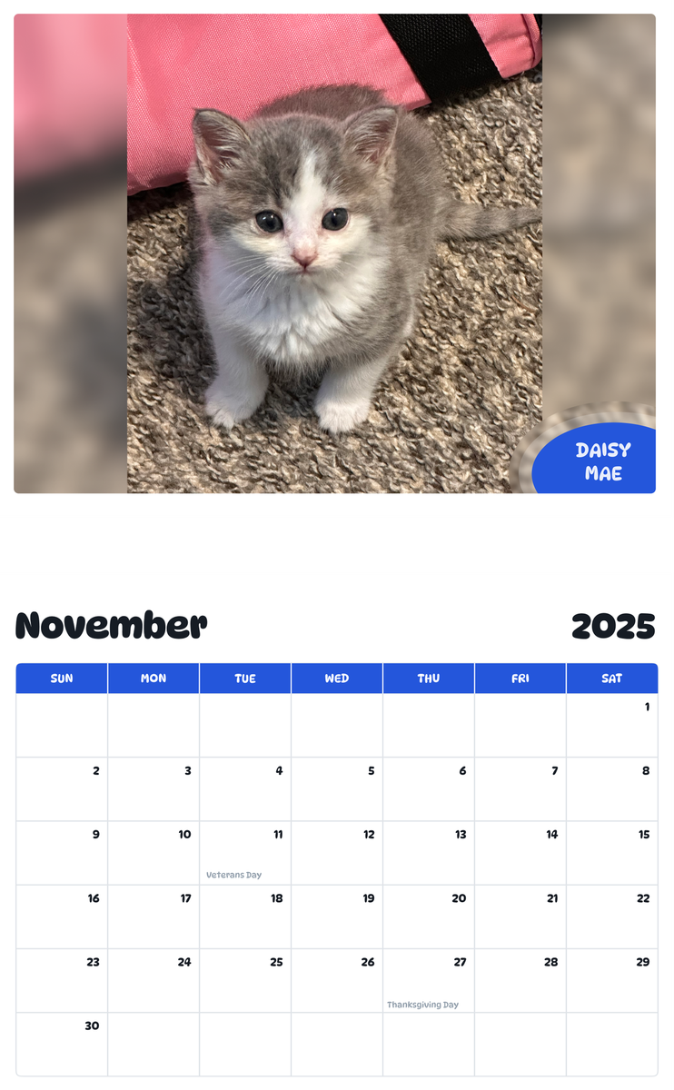 July 2025 - June 2026 Daisy Mae - Pawidols Pet Calendar