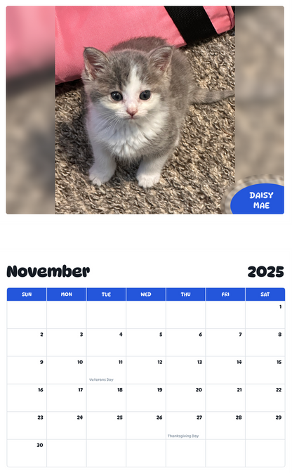 July 2025 - June 2026 Daisy Mae - Pawidols Pet Calendar