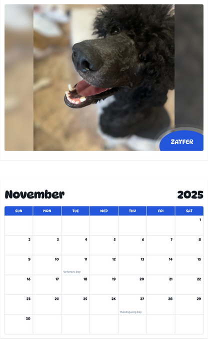 July 2025 - June 2026 Zayfer - Pawidols Pet Calendar