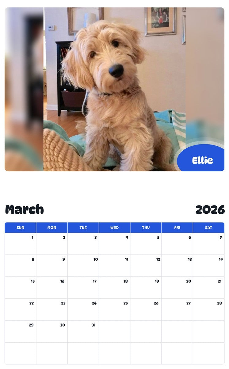 November 2025 - October 2026 Ellie - Pawidols Pet Calendar