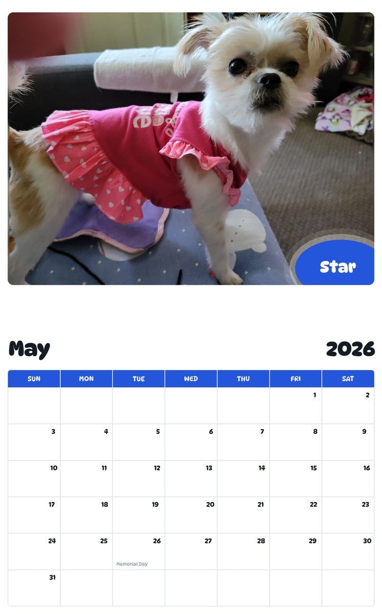 2026 - 2027 Star - Pawidols Pet Calendar