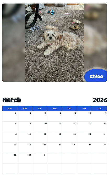 November 2025 - October 2026 Chloe - Pawidols Pet Calendar