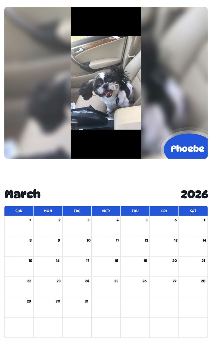 November 2025 - October 2026 Phoebe - Pawidols Pet Calendar