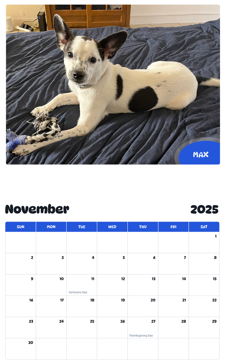 July 2025 - June 2026 max - Pawidols Pet Calendar