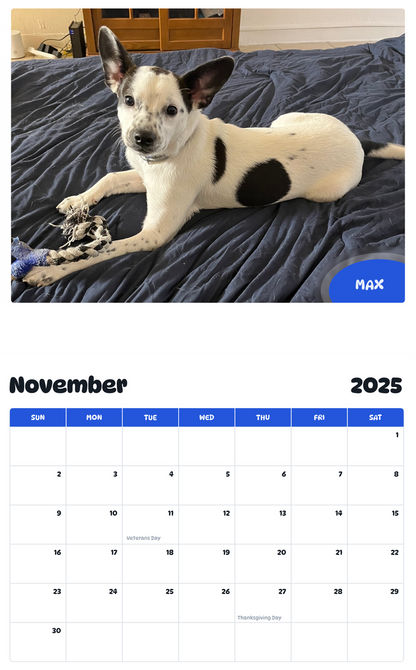 July 2025 - June 2026 max - Pawidols Pet Calendar