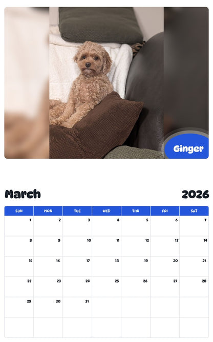 November 2025 - October 2026 Ginger - Pawidols Pet Calendar