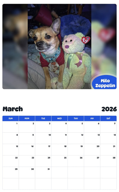 November 2025 - October 2026 Milo Zeppelin - Pawidols Pet Calendar