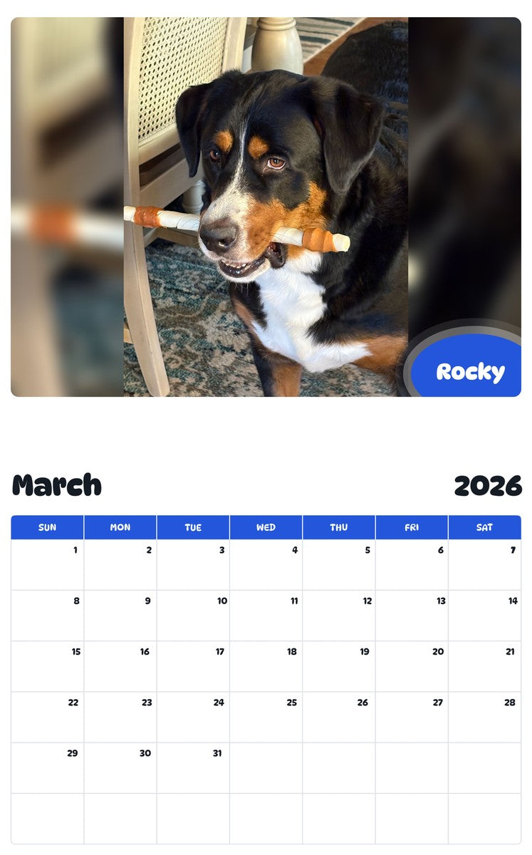 November 2025 - October 2026 Rocky - Pawidols Pet Calendar