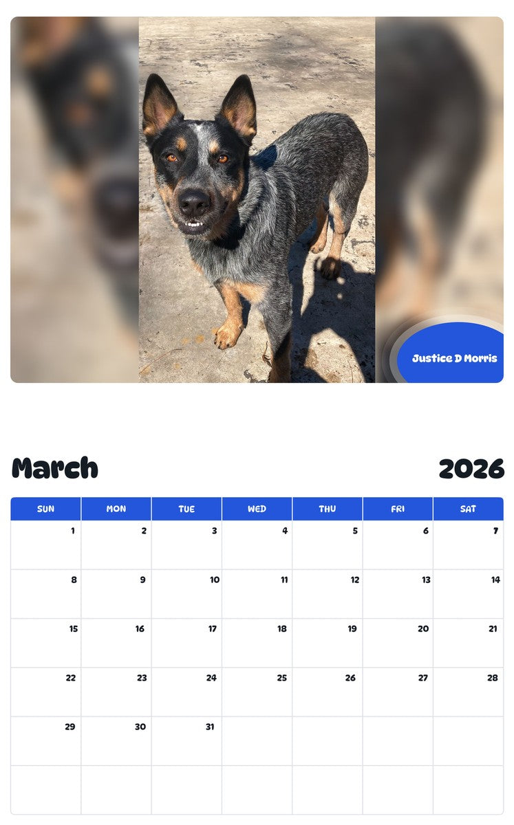 November 2025 - October 2026 Justice D Morris - Pawidols Pet Calendar