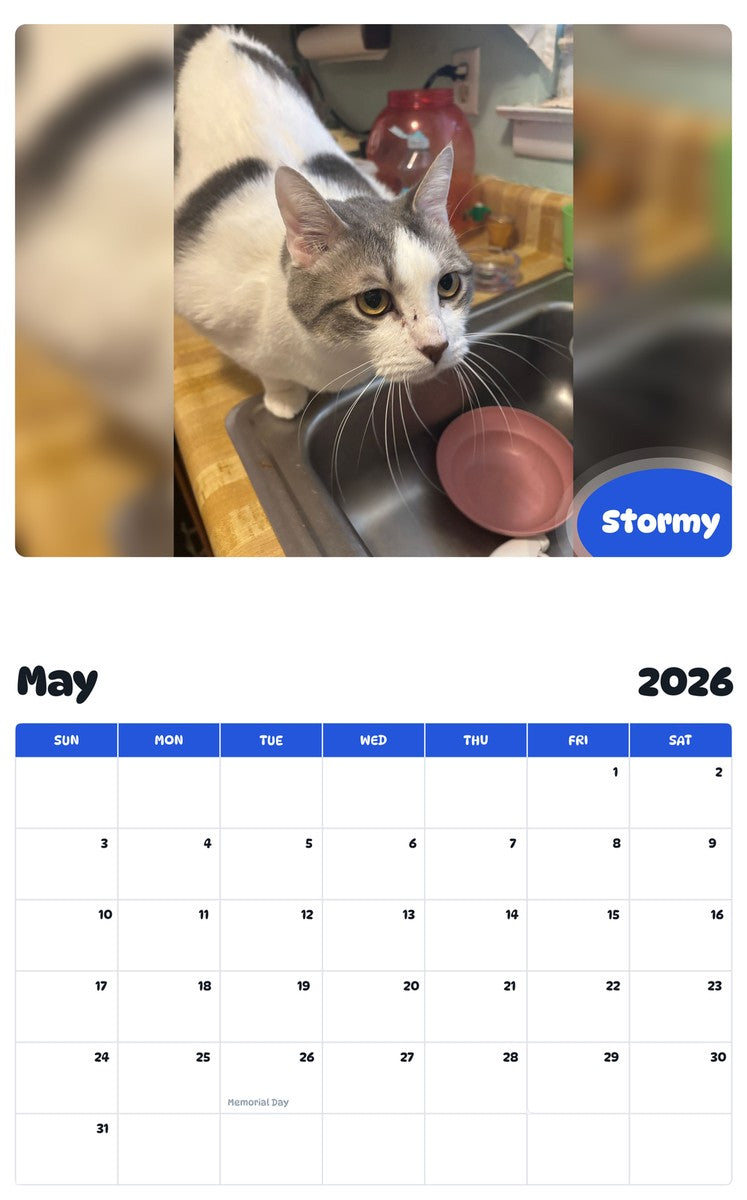 2026 - 2027 Stormy - Pawidols Pet Calendar