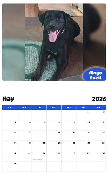 2026 - 2027 Ringo Buell - Pawidols Pet Calendar