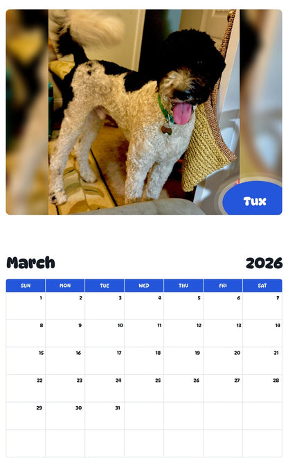 November 2025 - October 2026 Tux - Pawidols Pet Calendar
