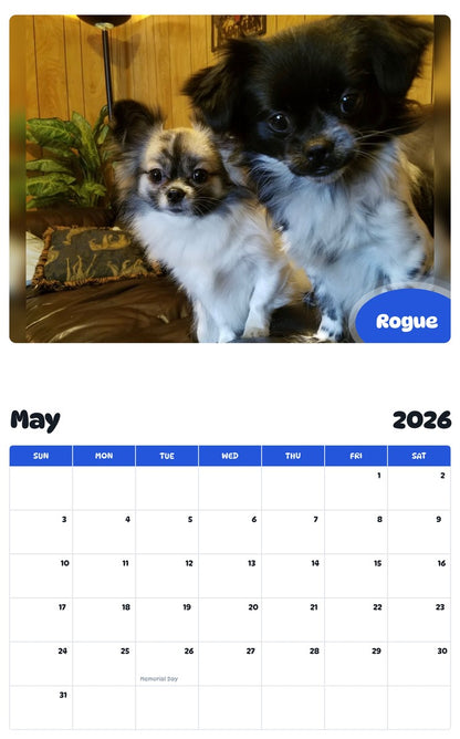 2026 - 2027 Rogue - Pawidols Pet Calendar