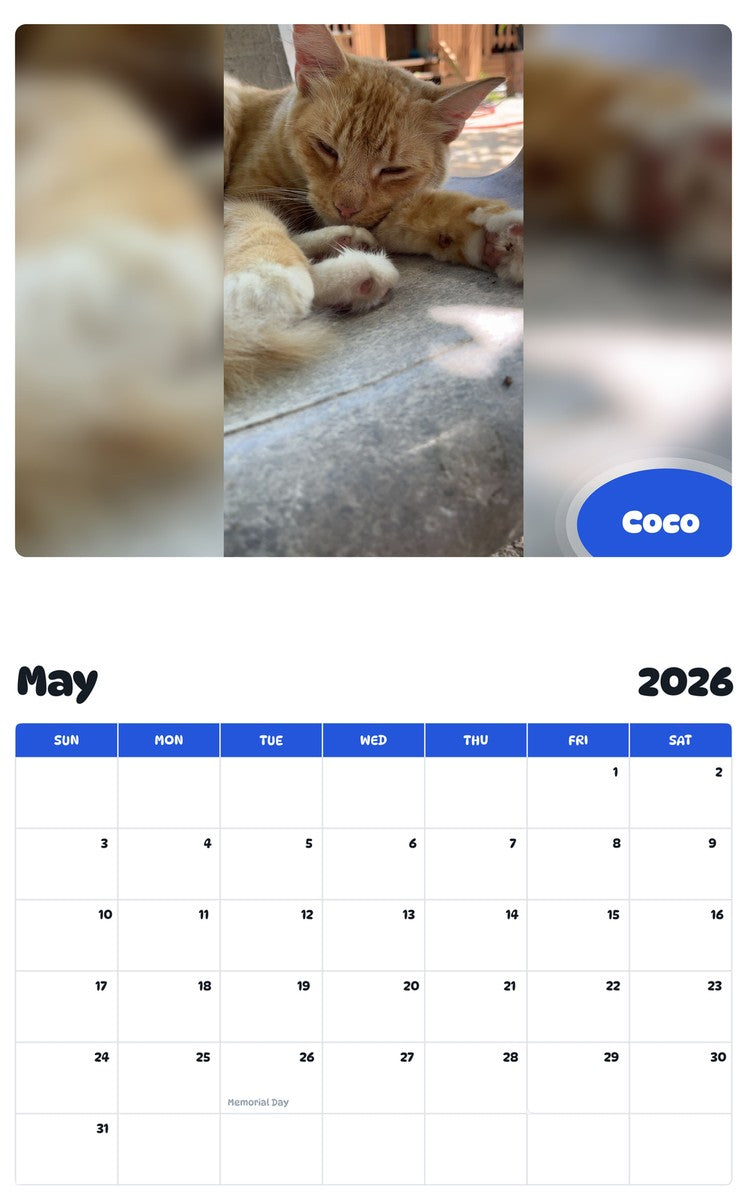 2026 - 2027 Coco - Pawidols Pet Calendar