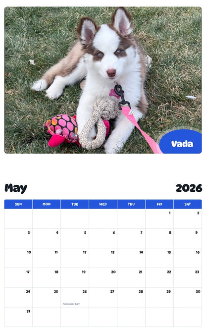 2026 - 2027 Vada - Pawidols Pet Calendar