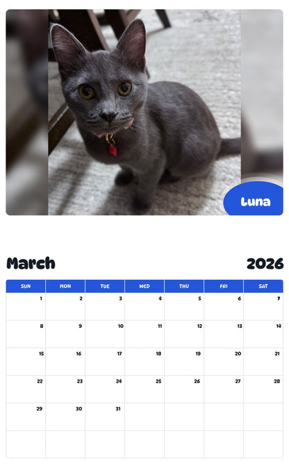 November 2025 - October 2026 Luna - Pawidols Pet Calendar