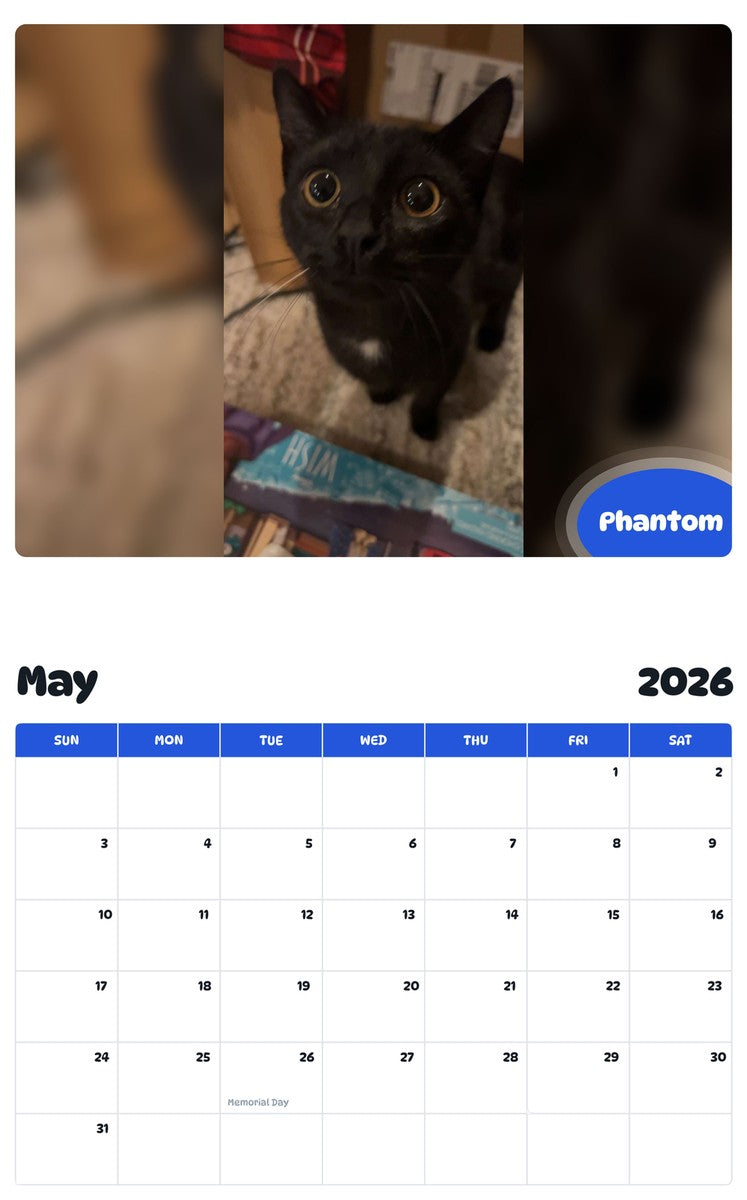 2026 - 2027 Phantom - Pawidols Pet Calendar