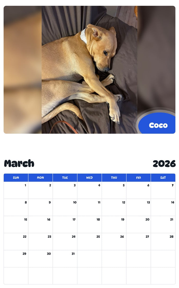 November 2025 - October 2026 Coco - Pawidols Pet Calendar