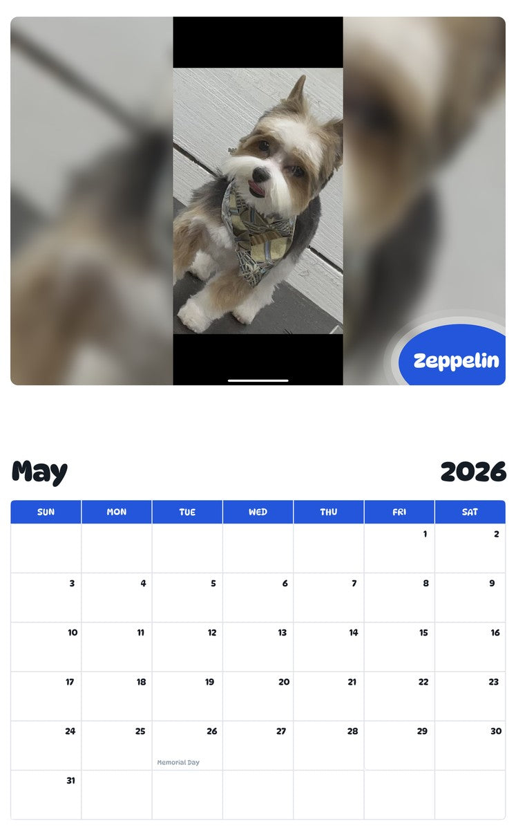2026 - 2027 Zeppelin - Pawidols Pet Calendar