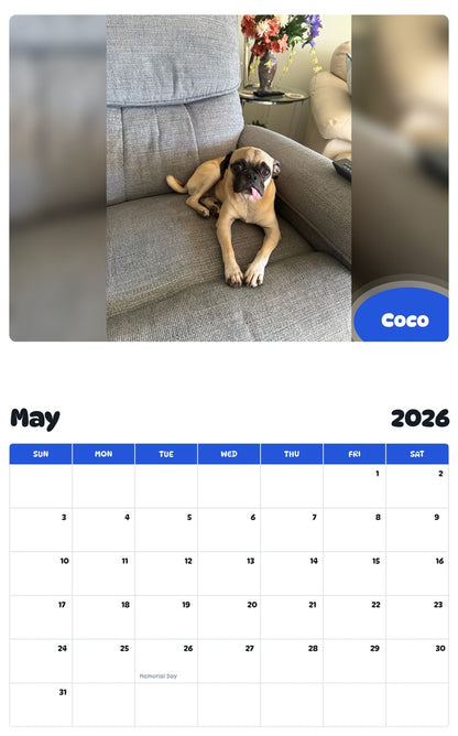 2026 - 2027 Coco - Pawidols Pet Calendar