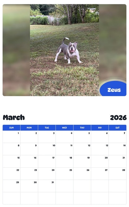 November 2025 - October 2026 Zeus - Pawidols Pet Calendar
