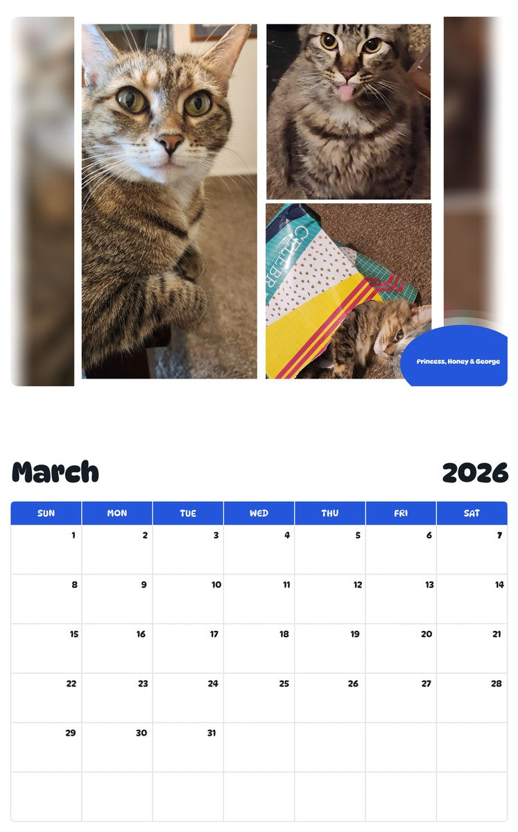 November 2025 - October 2026 Princess, Honey & George - Pawidols Pet Calendar