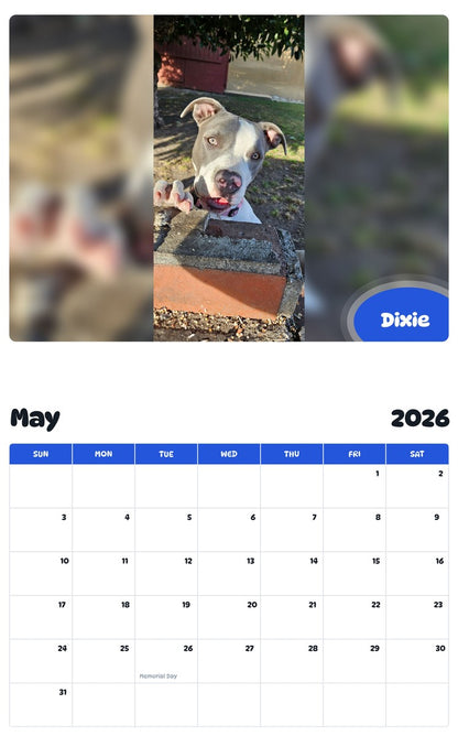 2026 - 2027 Dixie - Pawidols Pet Calendar