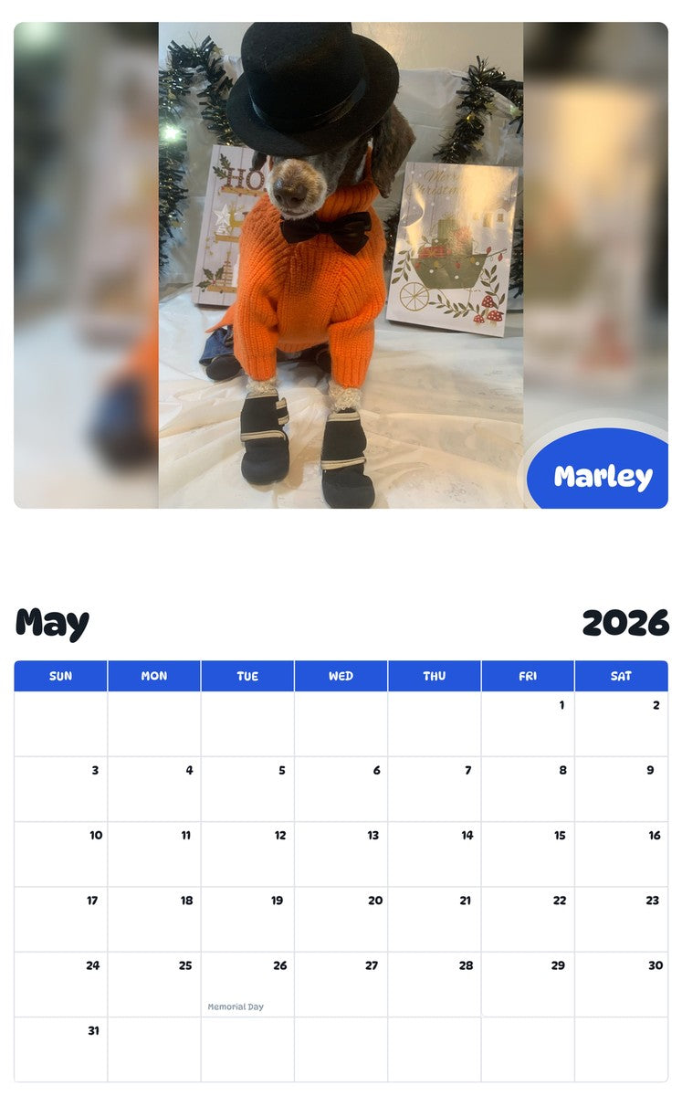 2026 - 2027 Marley - Pawidols Pet Calendar