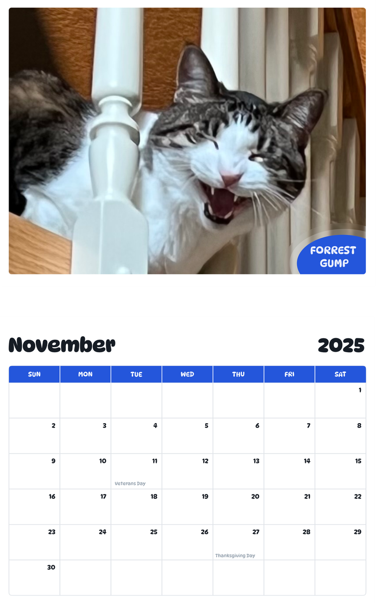 July 2025 - June 2026 Forrest Gump - Pawidols Pet Calendar