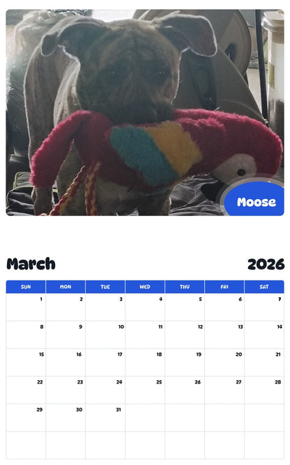 November 2025 - October 2026 Moose - Pawidols Pet Calendar