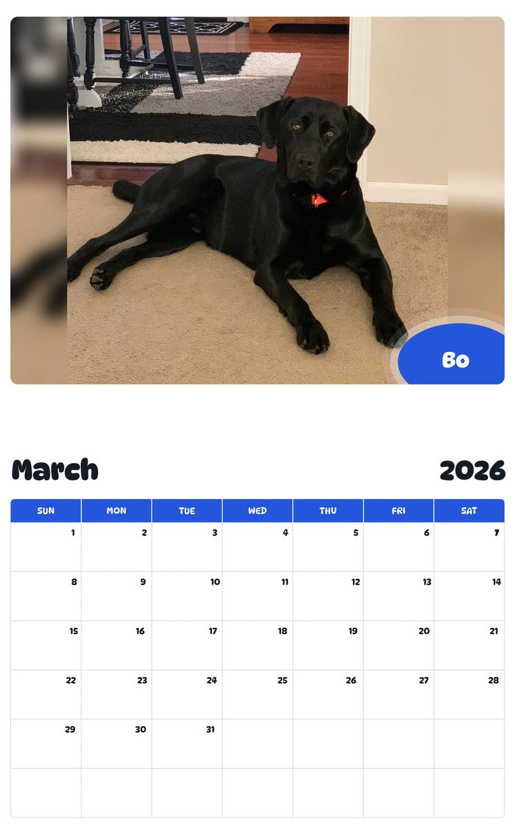 November 2025 - October 2026 Bo - Pawidols Pet Calendar