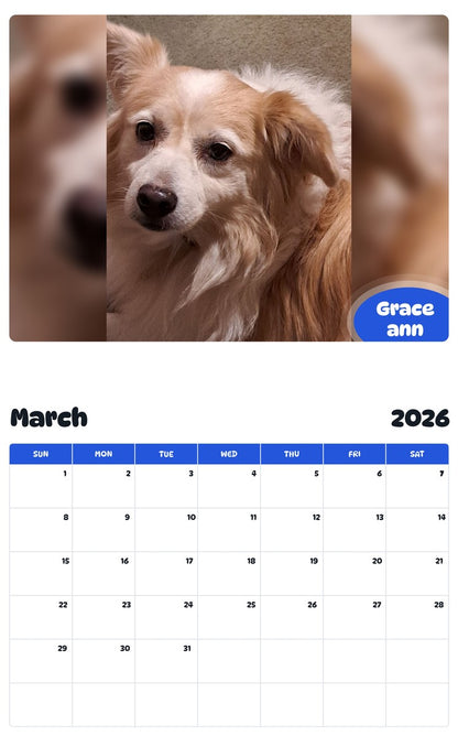 November 2025 - October 2026 Grace ann - Pawidols Pet Calendar