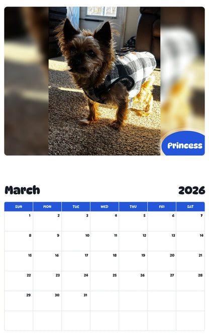 November 2025 - October 2026 Princess - Pawidols Pet Calendar