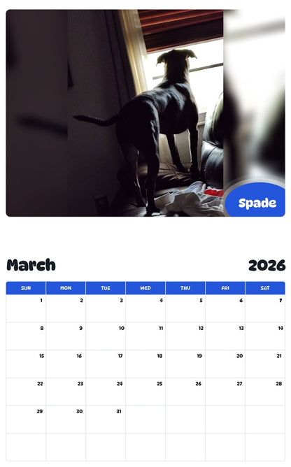 November 2025 - October 2026 Spade - Pawidols Pet Calendar