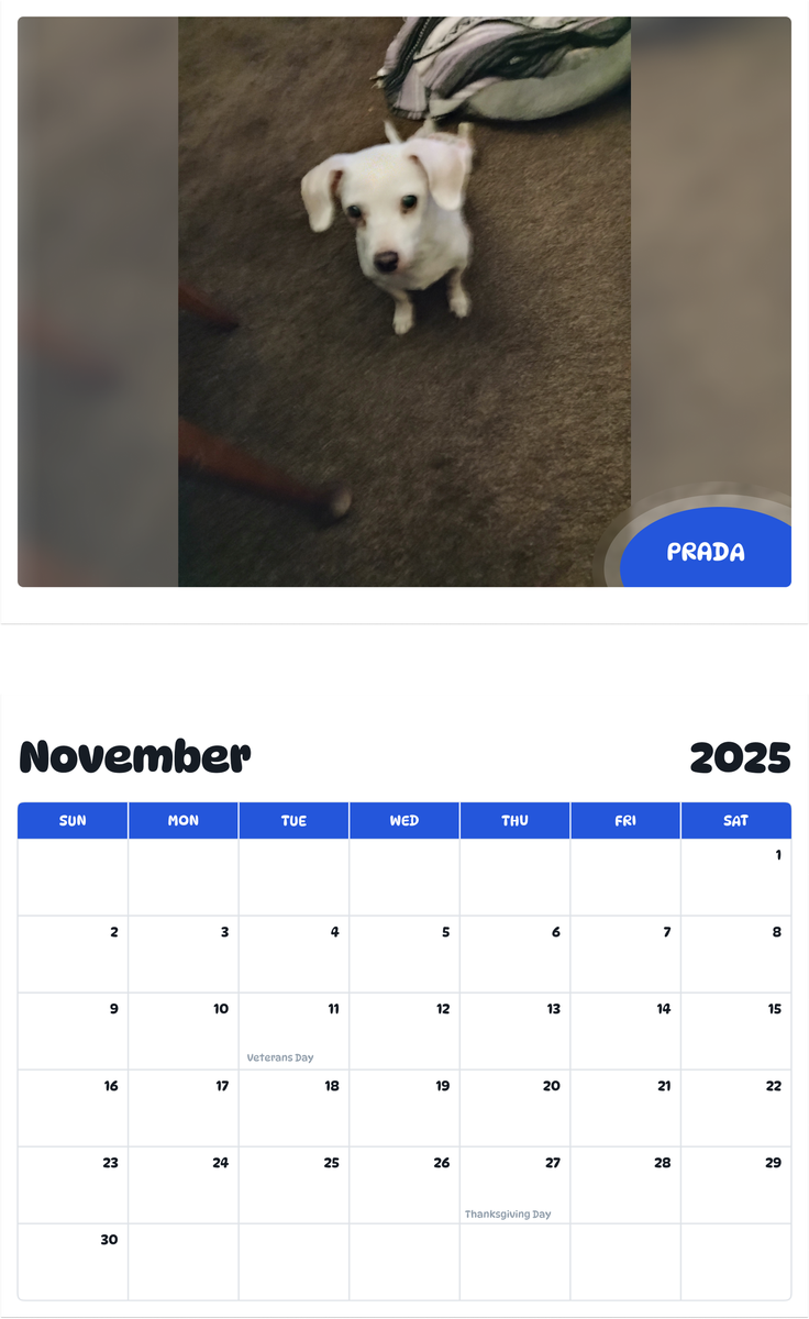 July 2025 - June 2026 Prada - Pawidols Pet Calendar