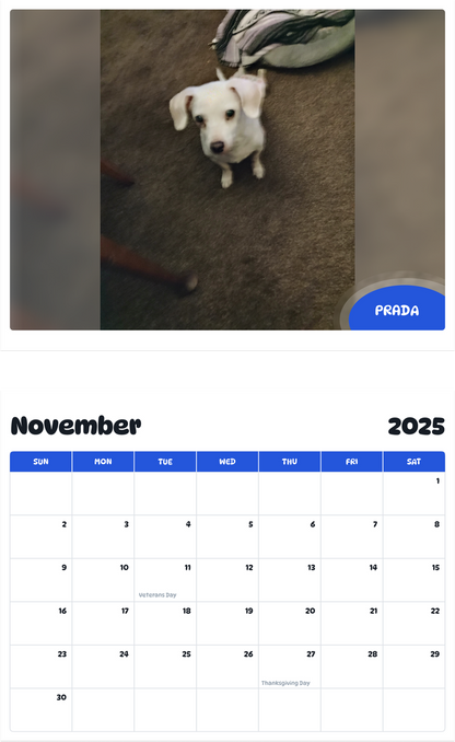 July 2025 - June 2026 Prada - Pawidols Pet Calendar