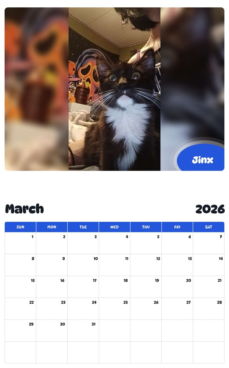 November 2025 - October 2026 Jinx - Pawidols Pet Calendar