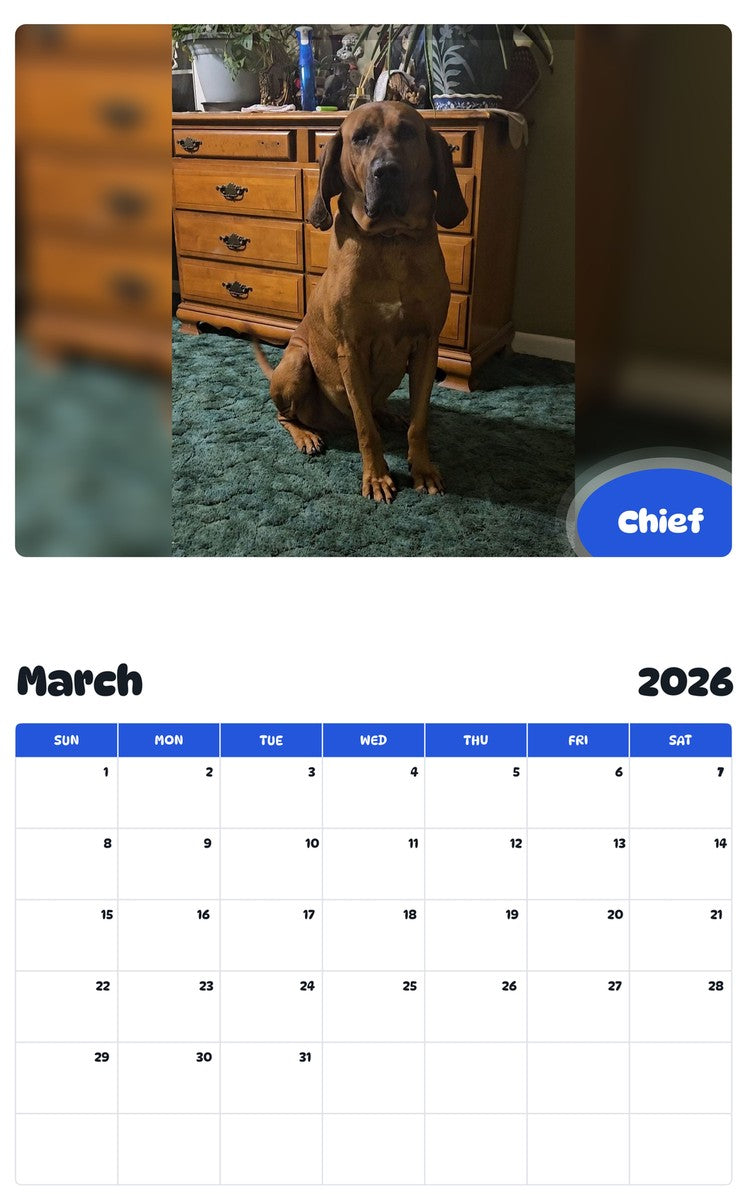 November 2025 - October 2026 Chief - Pawidols Pet Calendar