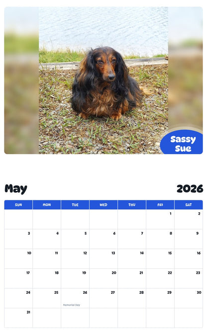 2026 - 2027 Sassy Sue - Pawidols Pet Calendar