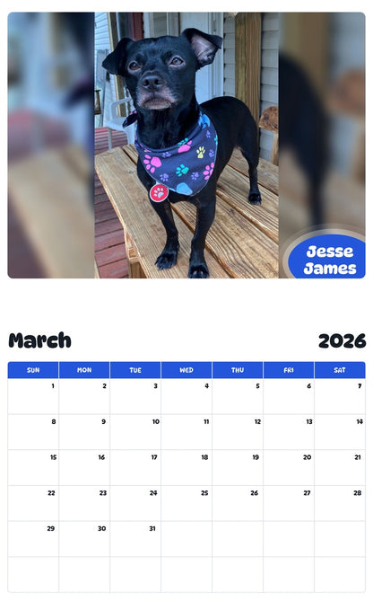 November 2025 - October 2026 Jesse James - Pawidols Pet Calendar
