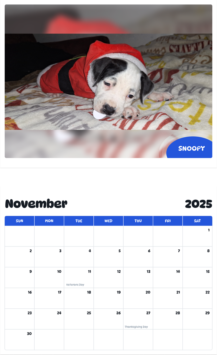 July 2025 - June 2026 Snoopy - Pawidols Pet Calendar