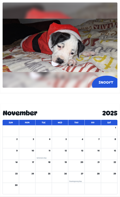 July 2025 - June 2026 Snoopy - Pawidols Pet Calendar