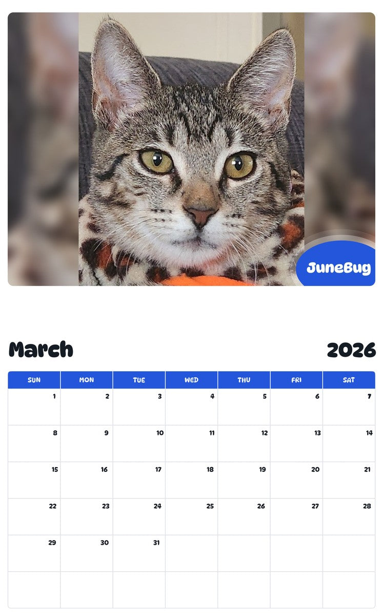 November 2025 - October 2026 JuneBug - Pawidols Pet Calendar
