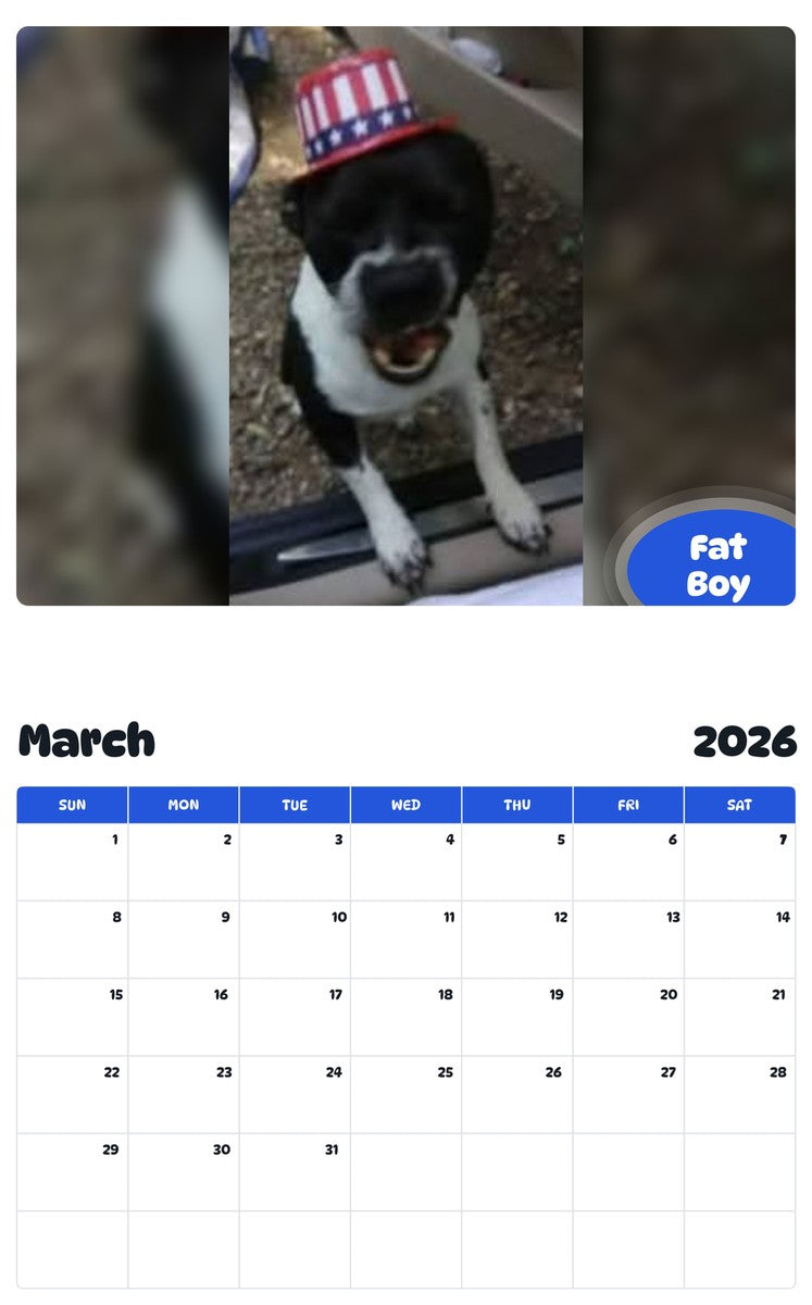 November 2025 - October 2026 Fat Boy - Pawidols Pet Calendar