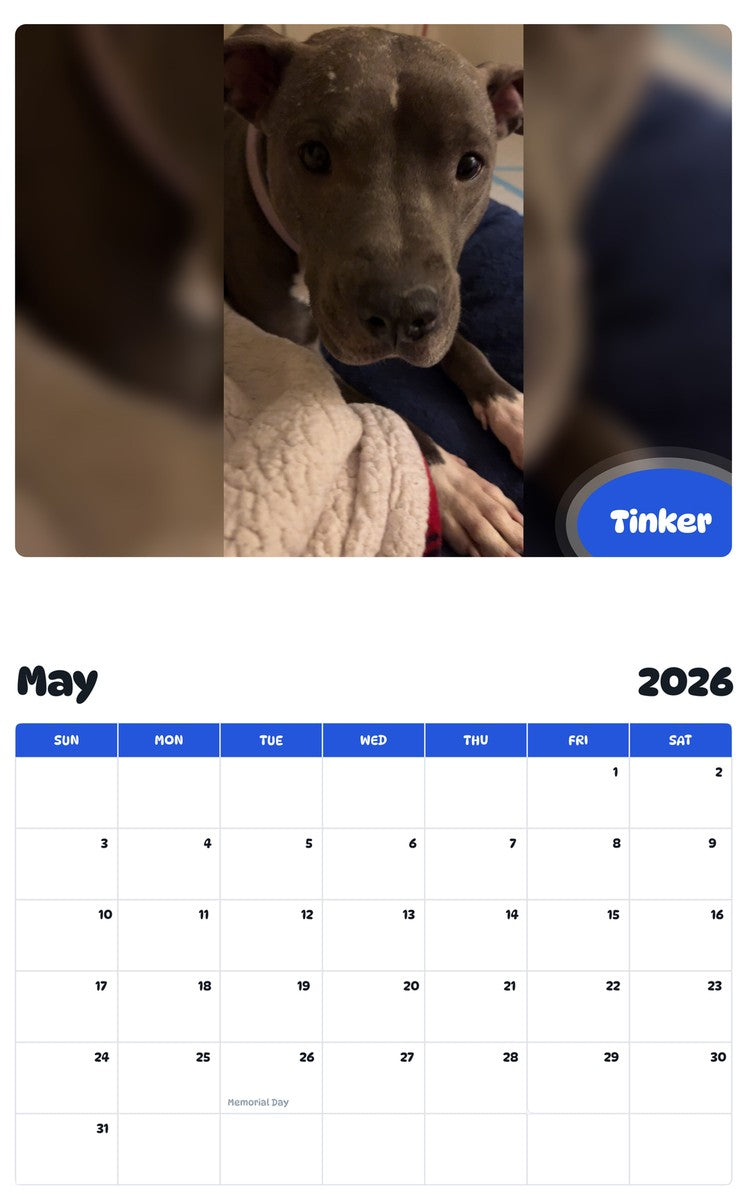 2026 - 2027 Tinker - Pawidols Pet Calendar