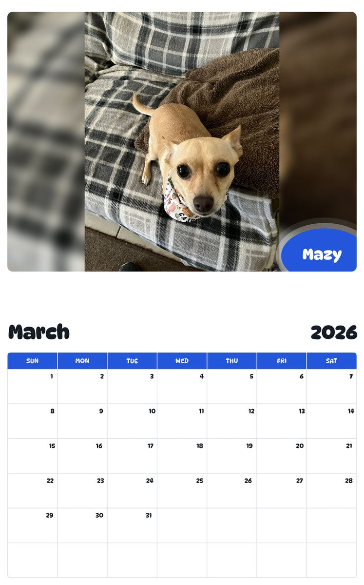 November 2025 - October 2026 Mazy - Pawidols Pet Calendar